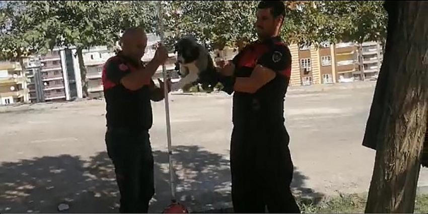 İtfaiye İmdadına Yetişti