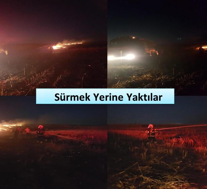 Anız Yangını