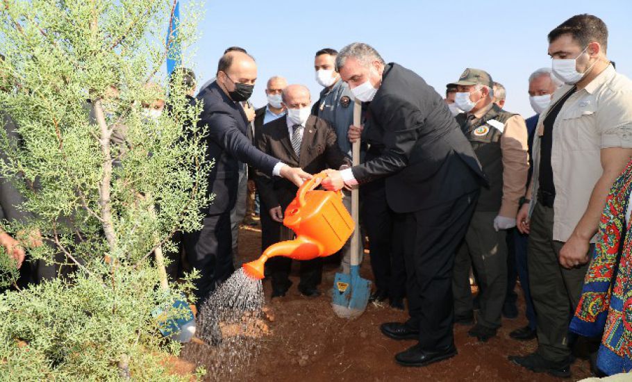 Büyükşehir'den Daha Yeşil Bir Şanlıurfa İçin Fidan Dikimi !