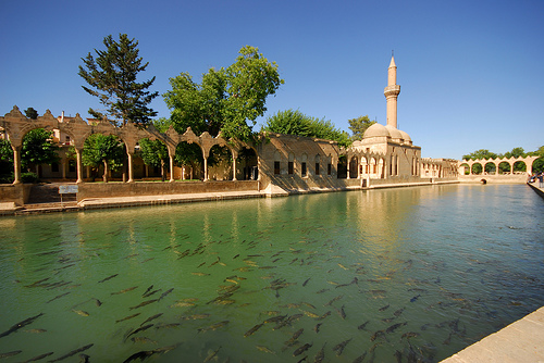 Şanlıurfa Balıklıgöl'ün hikayesi