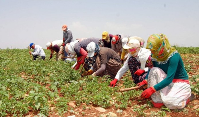 HÜDA PAR Şanlıurfa İl Başkanlığından Tarım İşçileri Hakkında Açıklama Yapıldı