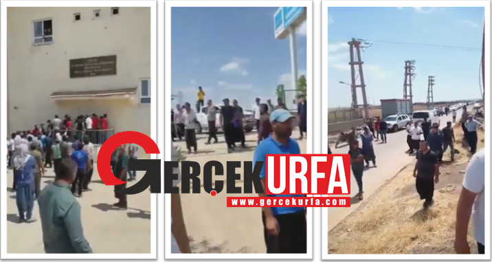 Siverekli Çiftçiler Dedaş Binasının Önünde Eylem Yaptılar (Video)