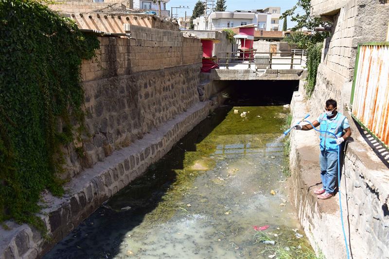 Ceylanpınar Antep Deresinde Temizlik ve İlaçlama Çalışmaları (Video)