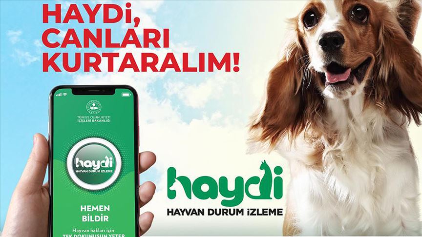Hayvanlara Kötü Muamelede Bulunan Kişilere Ceza Yağdı