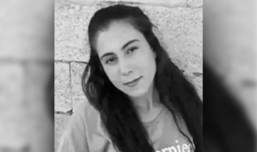 Ceylanpınar'da Yaşanan Cinayet İle İlgili Gelişmeler Devam Ediyor