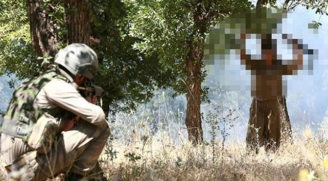 İkna yoluyla 1 örgüt mensubu daha teslim oldu