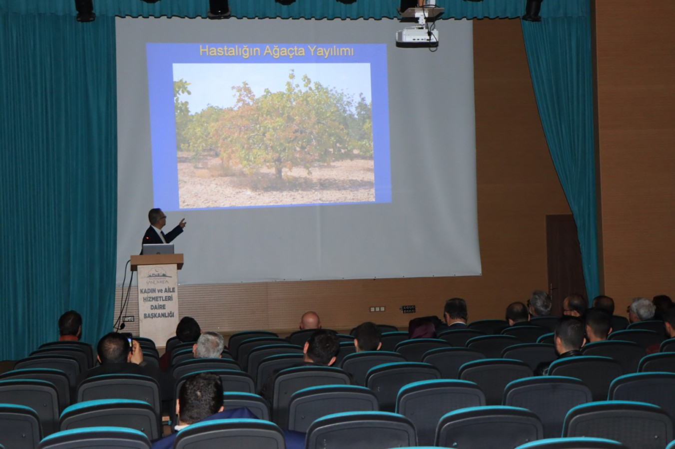 Şanlıurfa büyükşehir belediyesinden fıstık üreticilerine seminer