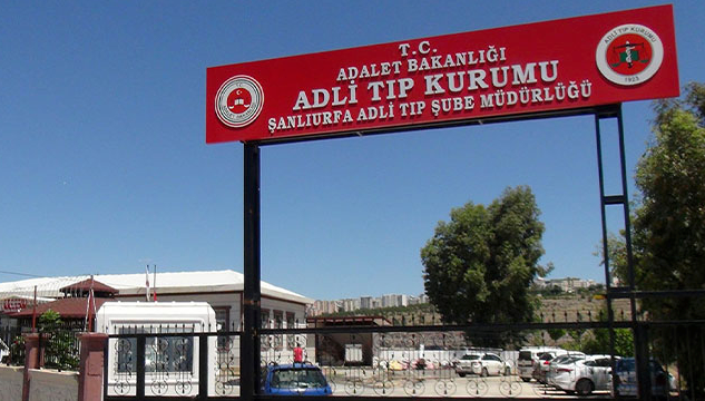Kaybolan çocuğun cansız bedenine ulaşıldı