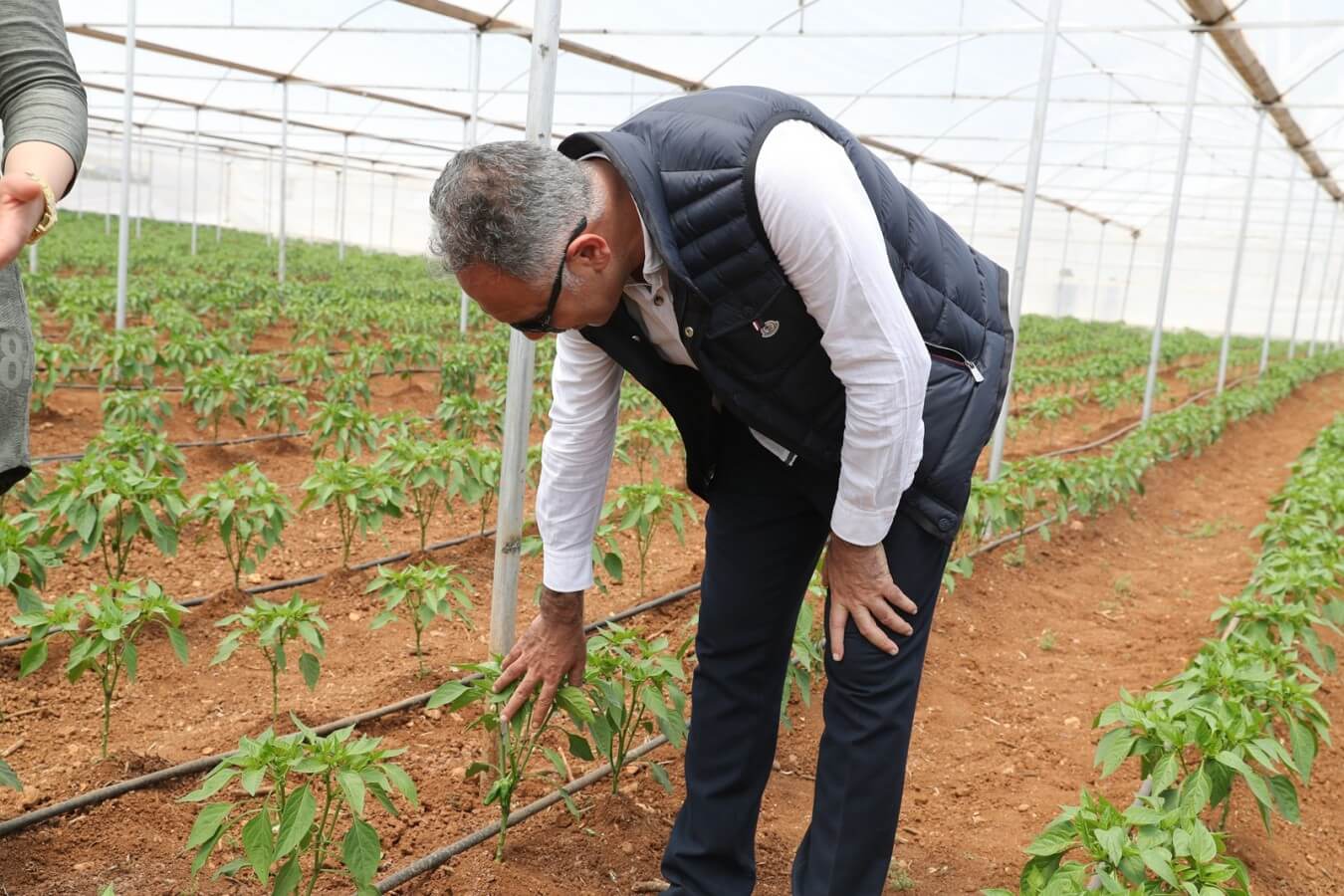 Sera kent açılışa gün sayıyor