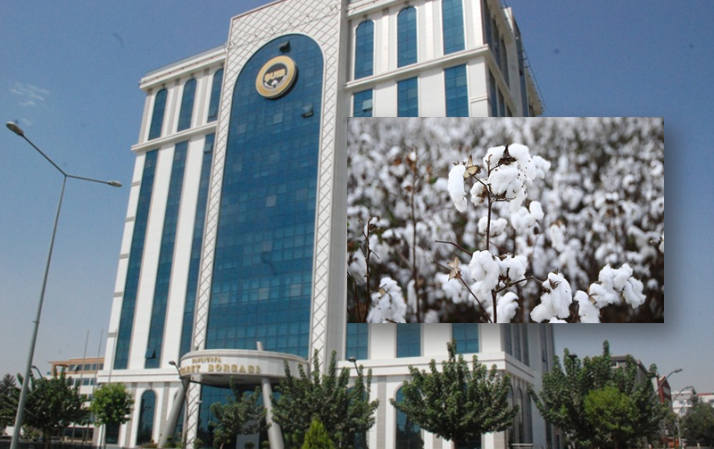 Şanlıurfa Ticaret Borsası Pamuk Fiyatını açıkladı
