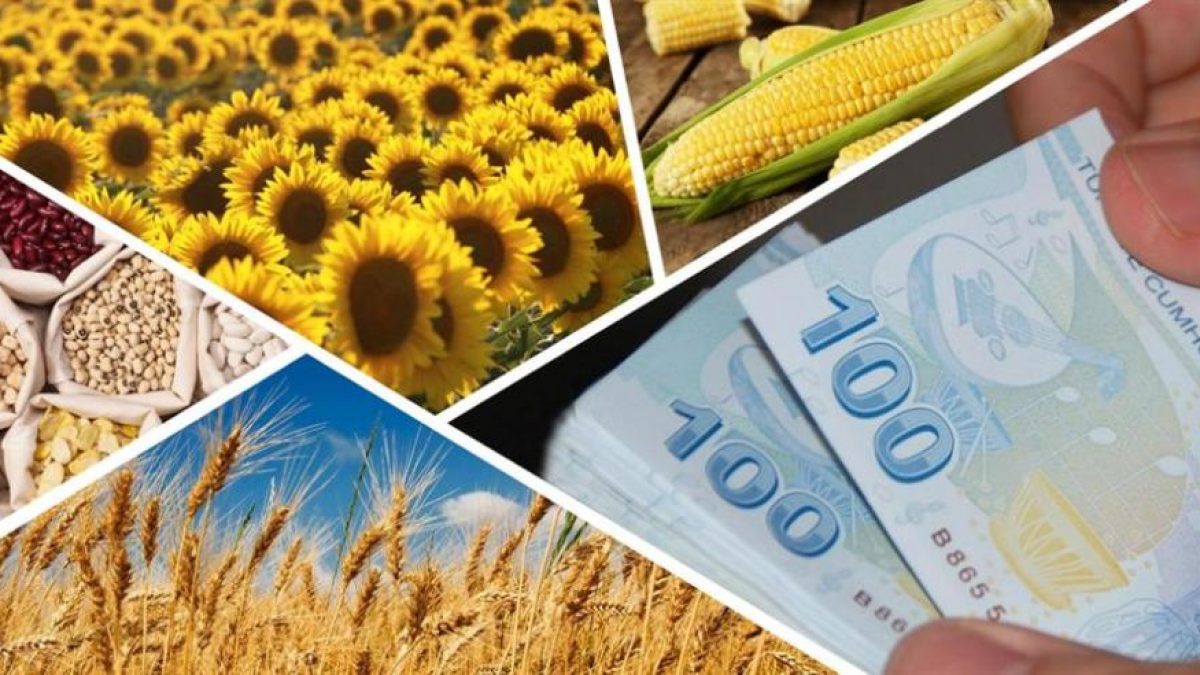 Çiftçilerin beklediği ödemeler hesaplara aktarıldı
