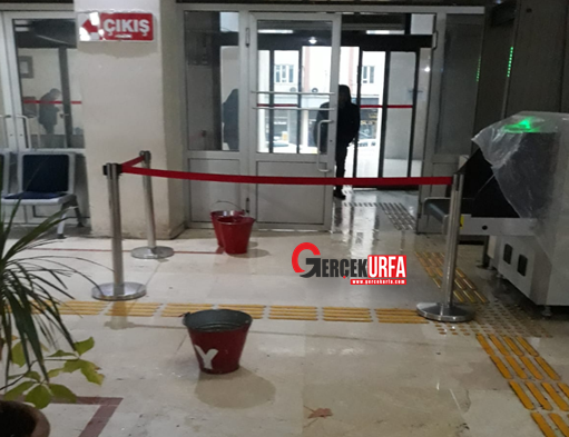 Urfa’da o kurum yağan yağmurdan nasibini aldı