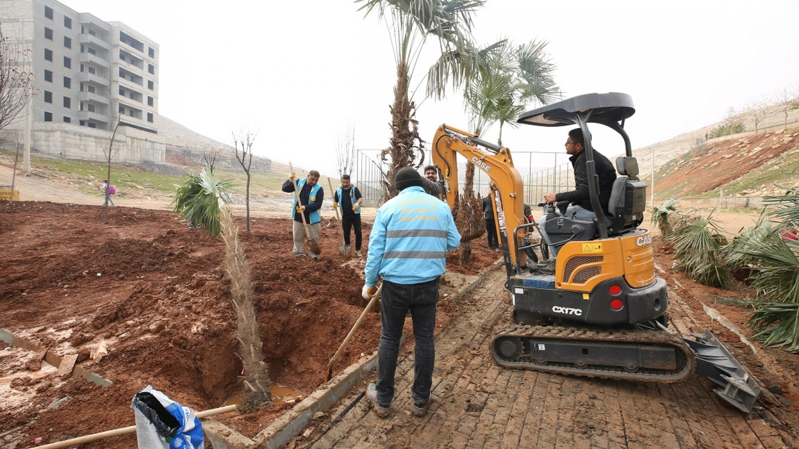 Eyyübiye Kito Deresi'nde ağaçlandırma devam ediyor