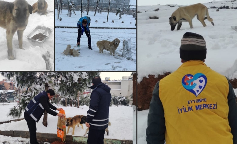 Eyyübiye İyilik Merkezi iş başında! Onları'da unutmadılar