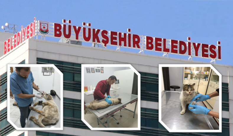 Büyükşehir deprem sonrası onları unutmadı