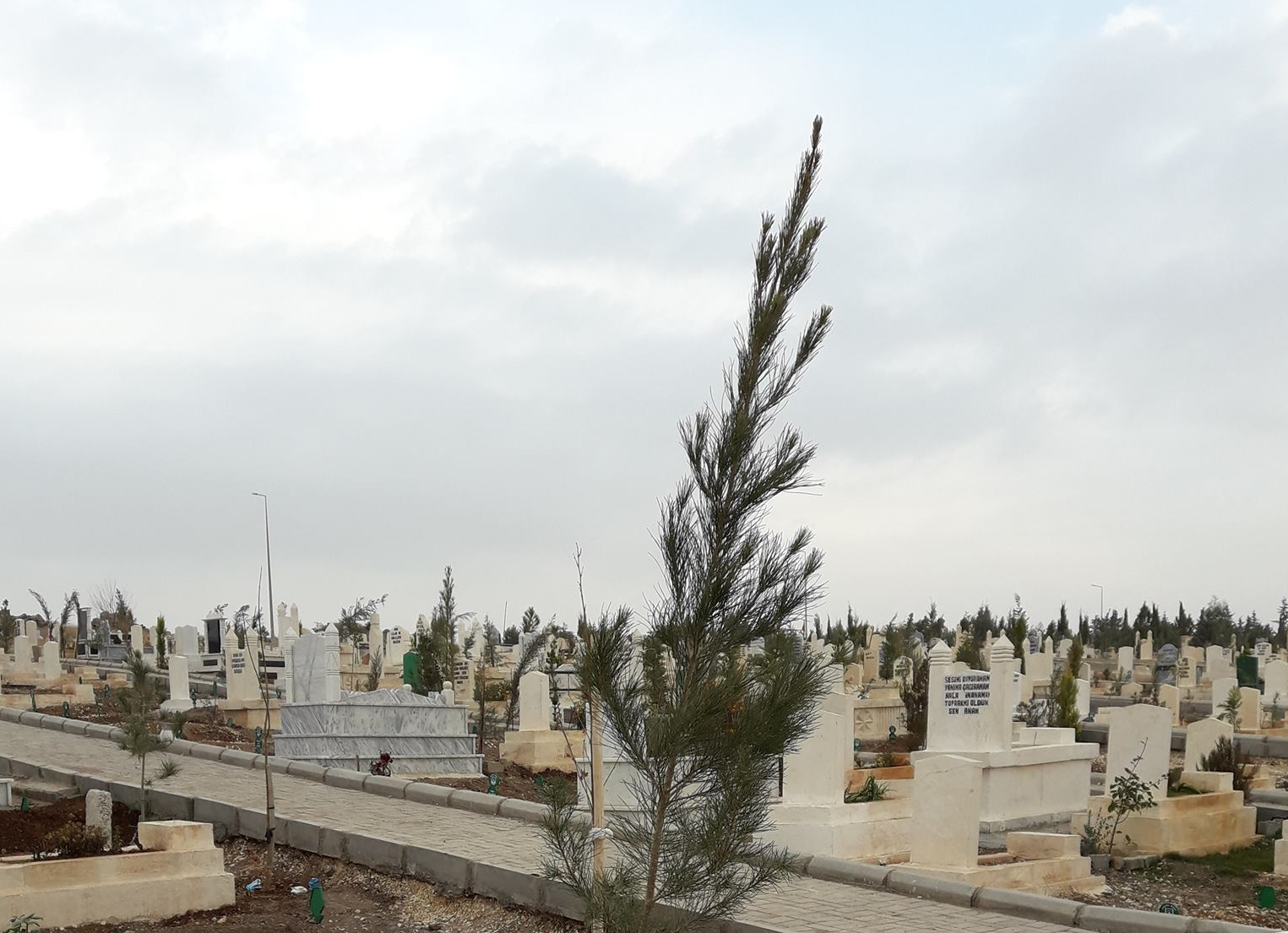 Urfa'da 3 kişi hayatını kaybetti