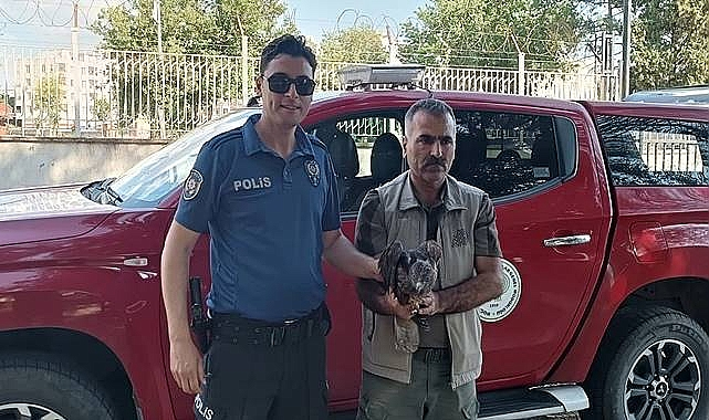 Duyarlı vatandaşlar sayesinde tedavi altına alındı