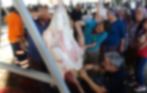 Urfa’da kaç acemi kasap hastanelik oldu