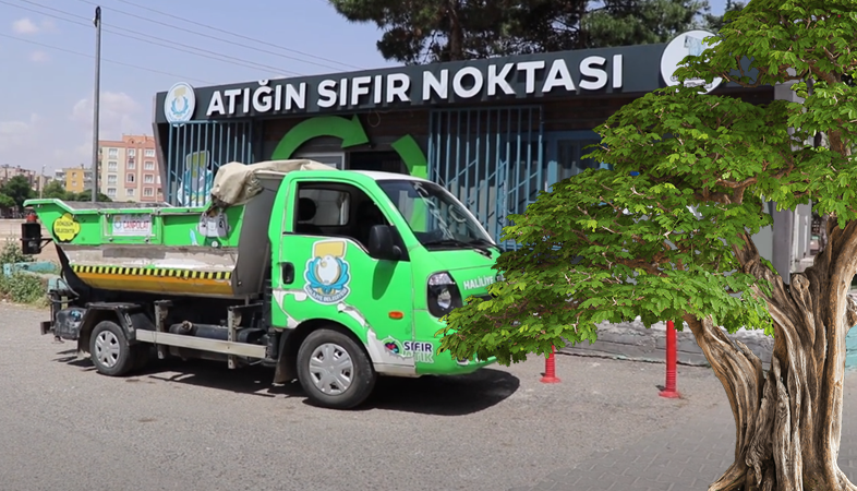 Haliliye'de 5 ayda 2500 ağacın kesilmesi önlendi