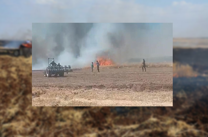 Urfa’da 60 dönüm yanarak kül oldu!