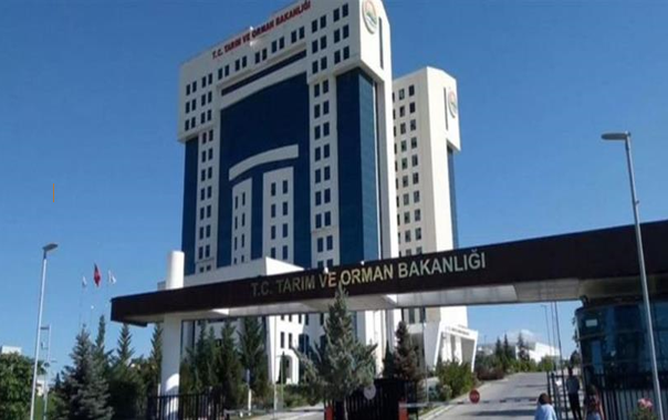 Tarım ve Orman Bakanlığı açıkladı! Ödemeler yapılmaya başladı