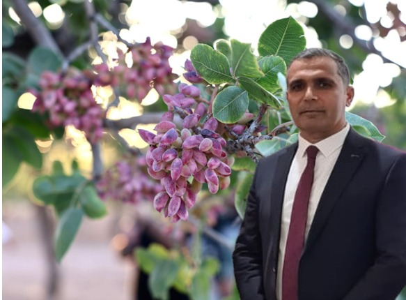 Başkan Aslan: Türkiye’de fıstığın başkenti Şanlıurfa’dır