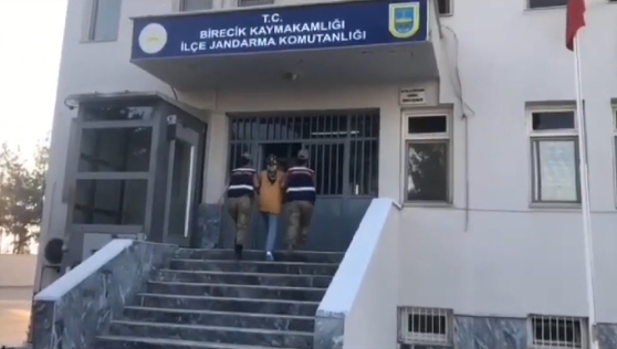Birecik'te operasyon! 160 kök kenevir el konuldu