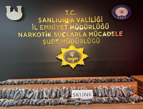 Şanlıurfa'da operasyon! 13 kilo 350 gram skunk ele geçirildi