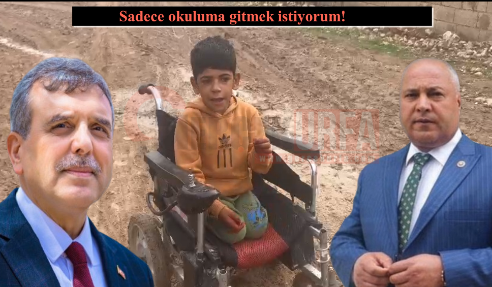 Sadece okuluma gitmek istiyorum! Başkanlara çağrıda bulundu