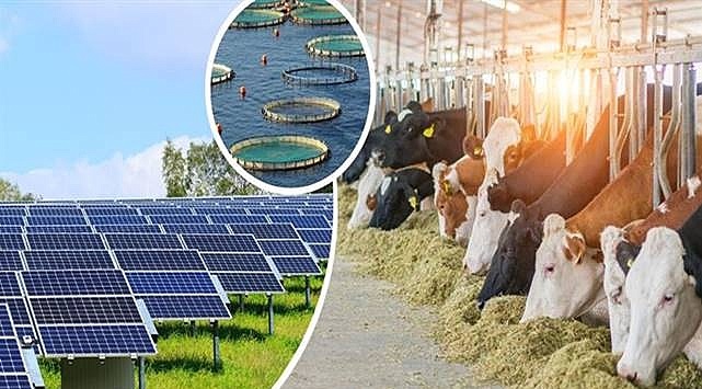 Bakanlıktan duyuru! Son başvuru tarihi 19 Şubat