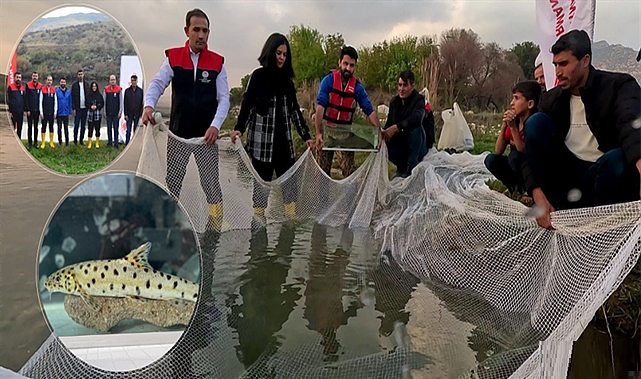 Leopar sazan Dicle Nehri'nde bulundu