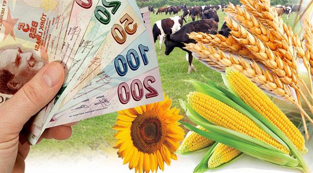Bakanlıktan destekleme açıklaması! Bugünden itibaren hesaplarda