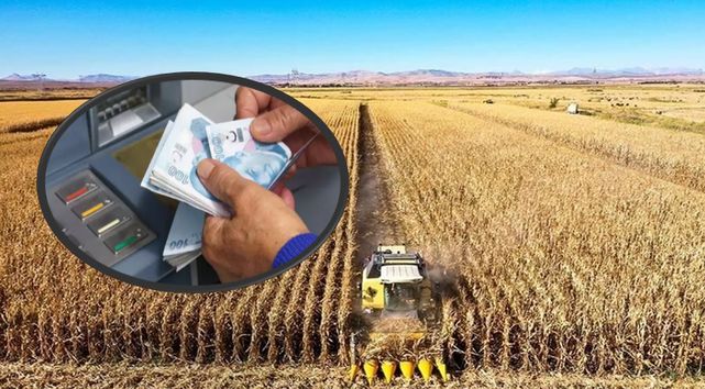 Bakanlık açıkladı! Tarımsal ödemeler hesaplara yatıyor