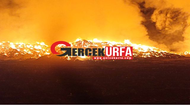 Urfa’da elektrik santralinde yangın! 20 milyon maddi zarar var