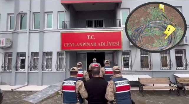 Urfa'da kablo hırsızları gözaltına alındı!