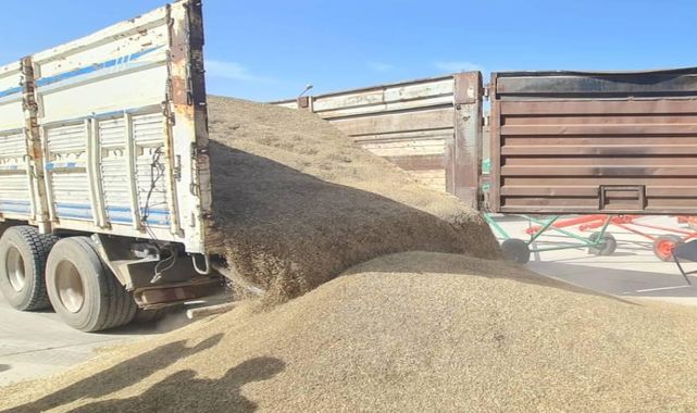 Hububat ve bakliyat fiyatları güncellendi! Buğday  9,300'den satış çıktı