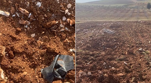 Urfa'da ilginç olay! Tarladaki diki ağaçları çaldılar