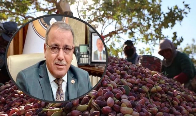Urfa fıstığı yılın ilk çeyreğinin rekorunu kırdı