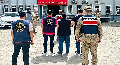 Urfa'da aranan cinayet zanlısı Ceylanpınar'da yakalandı