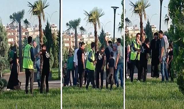 Urfa'da bir çocuk ağacı ateşe verdi