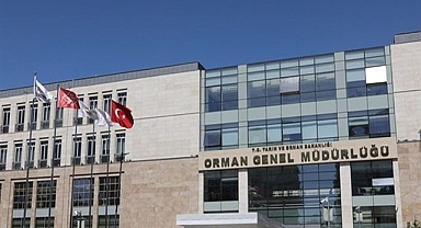 Orman Genel Müdürlüğü iş alımını duyurdu! İşte detayları