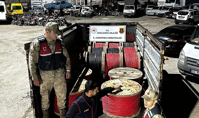Jandarma, Şanlıurfa'da 6 Milyon TL’lik Hırsızlık Çetesini Çökertti