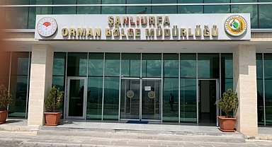 Şanlıurfa Orman Bölge Müdürlüğü Daimi İşçi Alımı Kura Sonuçları Açıklandı