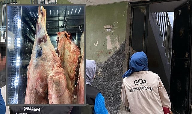 Şanlıurfa'da Et Skandalı! Kaçak Kesim Gıdaya Geçit Yok