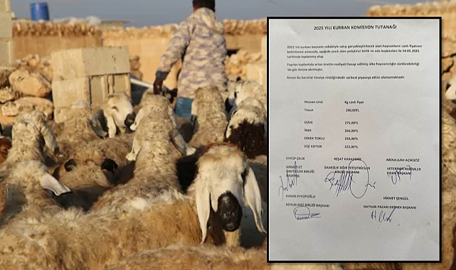 Şanlıurfa'da Kurbanlık Fiyatları Belli Oldu, İşte 2025'in Tavsiye Rakamları!