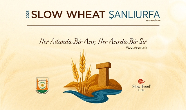 Buğdayın Kalbi Şanlıurfa’da Atıyor, Slow Wheat 2025 Başlıyor!