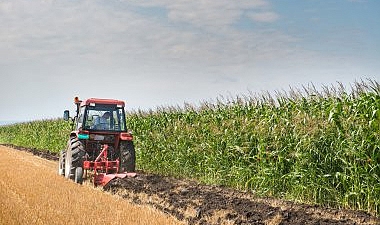 Hesaplara Para Yattı! 262 Milyon TL Tarım Desteği Verildi