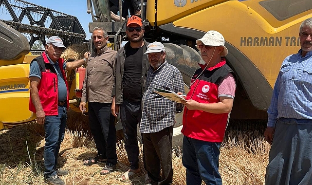 Şanlıurfa’da Hasat Sezonu Takipte! Tarım Müdürlüğü Sahada