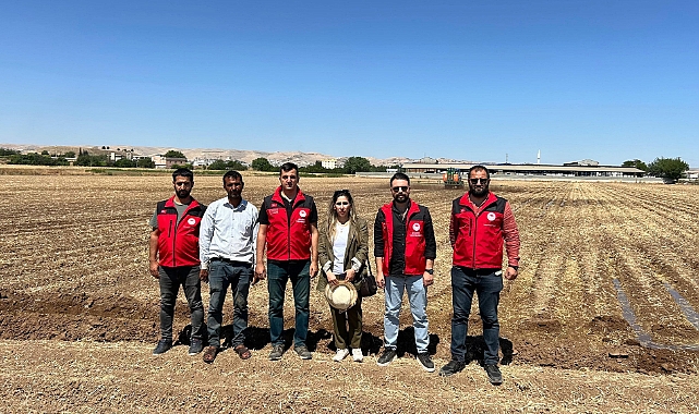 Şanlıurfa’da Pamuk Tarlasına Hümik Asit Desteği!