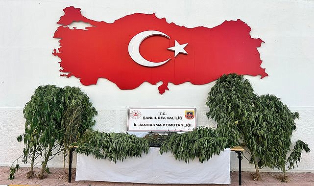 Şanlıurfa’da Zehir Tacirlerine Ağır Darbe! 3 İlçede Eş Zamanlı Operasyon
